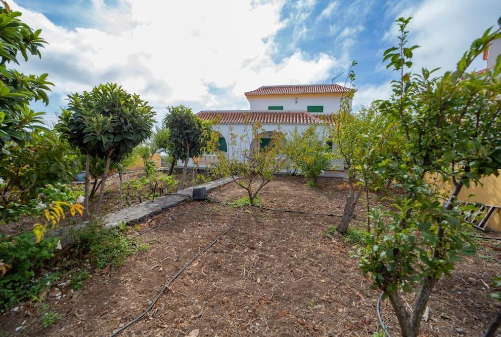 Villa Teram Алахеро Экстерьер фото
